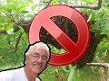 Thumbnail for HONEY BEES Never Again In the PERMACULTURE ORCHARD