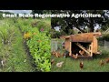 Thumbnail for Regenerative Farming Small Scale: How do you do it?
