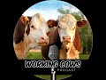 Thumbnail for Meeting the Demand for Regenerative Products (WCP 449)