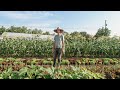 Thumbnail for Growers Live - Farmer Jesse - 7/15/20