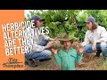 Thumbnail for Herbicide Vs Tilling Vs Mulch Vs Compost Vs Grass