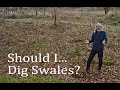 Thumbnail for Should I... Dig Swales to Harvest Rainwater Surface Run-off?