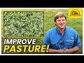 Thumbnail for We Transformed Our Pastures with This Clover: Durana Clover Species Profile