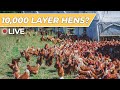 Thumbnail for LIVE Tour: Seven Sons Farms [Regenerative Agriculture]