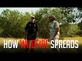 Thumbnail for Wildfire Risk on Rural Land: A Fire Department Walkthrough (Central Texas)