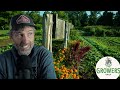 Thumbnail for How to Choose Hedgerow Plants + How a Soccer Coach Would Train Your Farm Employees