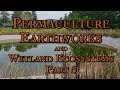 Thumbnail for Permaculture Earthworks and Wetland Ecosystems Part 5