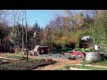 Thumbnail for Urban Homesteading - Using Traditional Wisdom for an Urban Vegetable Garden
