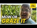 Thumbnail for Why Mow A Nutritious Cover Crop for Livestock?