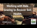 Thumbnail for Working with Bale Grazing for Soil Health - Philip Boyd of the Dixon Water Foundation