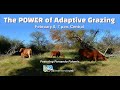 Thumbnail for "The Power of Adaptive Grazing Featuring" Fernando Falomir