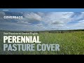 Thumbnail for Perennial Pasture Cover
