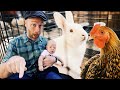 Thumbnail for Grow 3,000 LB of Protein (in a Carport)