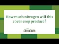 Thumbnail for FAQ - How much nitrogen will this cover crop produce?