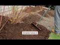 Thumbnail for "Helping Life Thrive: Designing Microclimates for Restoration"