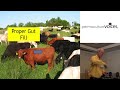 Thumbnail for High Density Mob Grazing with Greg Judy (Part 2)