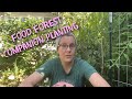 Thumbnail for Food Forest Companion Planting with Shrubs and Herbaceous Perennials