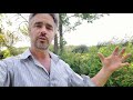 Thumbnail for Orchard Fencing Project - Evolving and Growing!