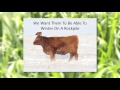Thumbnail for Grassfed Exchange 2014 - Paul Brown
