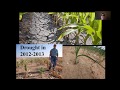 Thumbnail for Webinar: Growing with Healthy Soil Biology