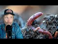 Thumbnail for Does Vermicompost Lead to Damping Off + Weeding Gear