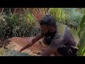 Thumbnail for Unleashing the Power of Mulch | Mulching