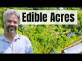 Thumbnail for How Edible Acres achieved FINANCIAL FREEDOM on just 1/2 ACRE using THESE 4...