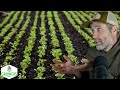 Thumbnail for Do Non-Profit Farms Hurt Farms? + What are the Best Seeders?
