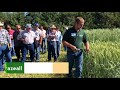 Thumbnail for Summer 2018 Field Day | Part 1 | Winter Annual Monocultures | 6.5.18