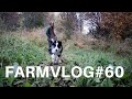Thumbnail for PUPPIES, GOATS AND SHEEP, OH MY! FV#60