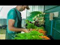 Thumbnail for Cleaning up the Harvest | Designing A Good Wash/Pack Station