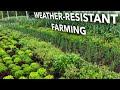 Thumbnail for How to Create a TRULY Resilient Farm