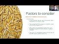 Thumbnail for Webinar: Diversifying Your Grain Crop Rotation