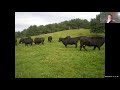 Thumbnail for Four Winds Farm