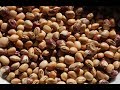 Thumbnail for The Year of the Cowpeas with Matt Powers