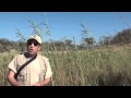 Thumbnail for River Restoration in Zimbabwe - Countering the Savory Deniers