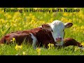 Thumbnail for Farming in Harmony with Nature | Harmony Conference 2017