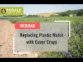 Thumbnail for Webinar: Replacing Plastic Mulch with Cover Crops