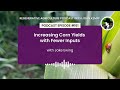 Thumbnail for Episode 161: Increasing Corn Yields with Fewer Inputs with Jake Ewing