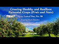 Thumbnail for Creating Healthy and Resilient Perennial Crops (Fruit & Nuts)” with Chuck Schembre