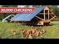 Thumbnail for LIVE Tour: Joe's Farm [Pastured Poultry]