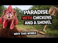 Thumbnail for Fixing Dead Soil With Chickens, Mulch and a Shovel