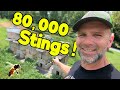 Thumbnail for SHOCKING! What nobody else is telling you about Honey Bees!