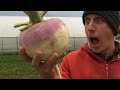 Thumbnail for Growers Live - Daniel Brisebois - 12/17/19