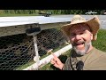 Thumbnail for How to get started raising chickens on pasture!