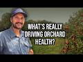 Thumbnail for Regenerative Orcharding: Building Soil Health & Profit from the Ground Up...