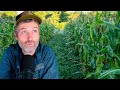 Thumbnail for What Growers Get Wrong About "Three Sisters" + Why We Stopped Growing Microgreens