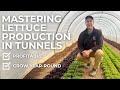 Thumbnail for Unlocking the Secrets of Profitable Lettuce Production: A Market Farmer's Guide