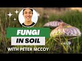 Thumbnail for The Importance of Fungi in the World’s Soils | Peter McCoy