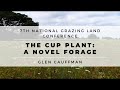 Thumbnail for The Cup Plant -Glen Cauffman | 7NGLC